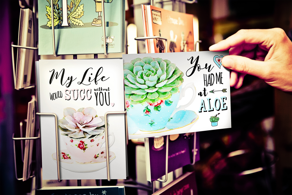 Image showing a card rack displaying feature succulent greeting cards. Watercolour illustrations created by Seaweed & Spruce.